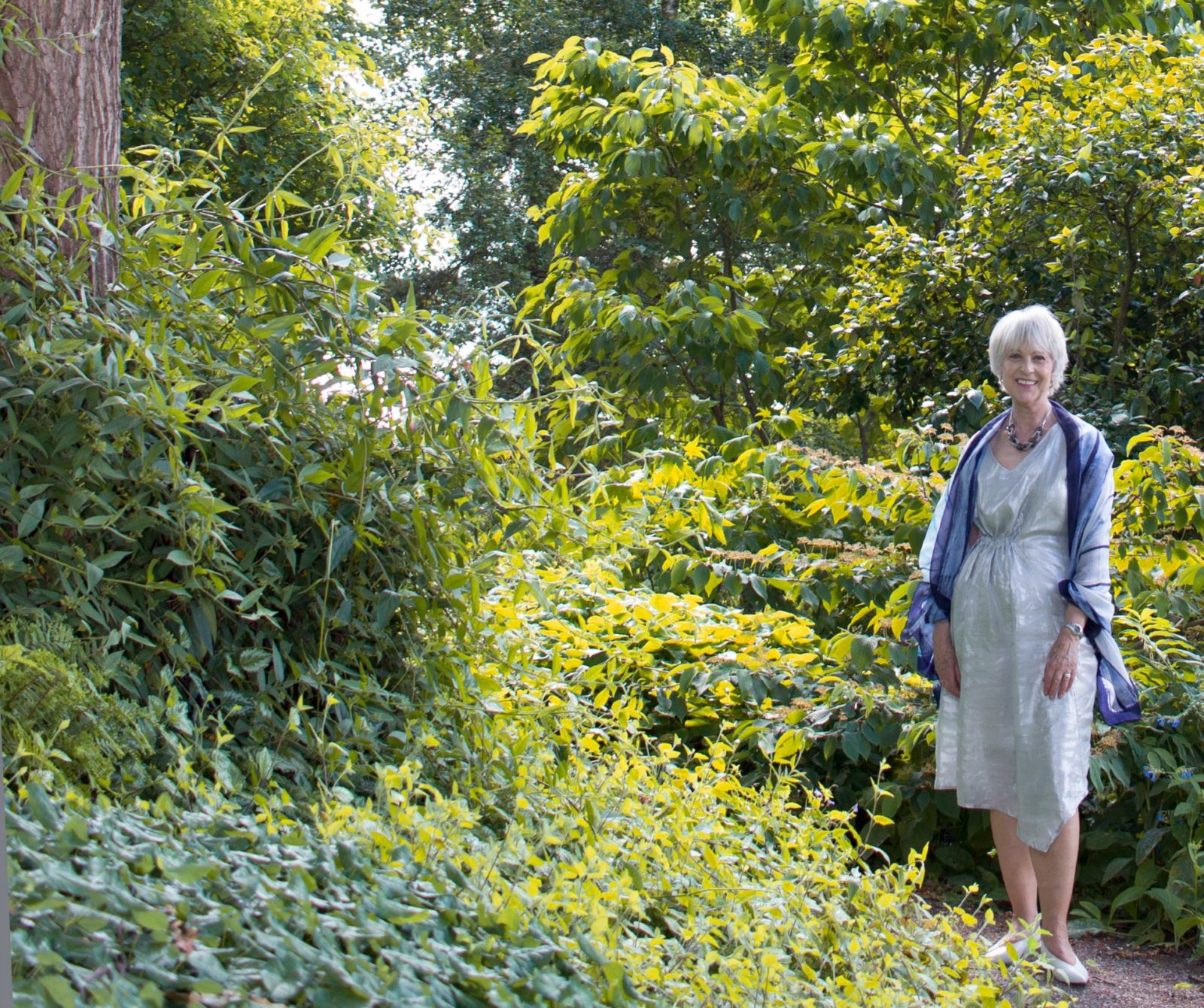 Sparkling summer dress - Chic at any age